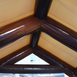 Inflatable Event Tent